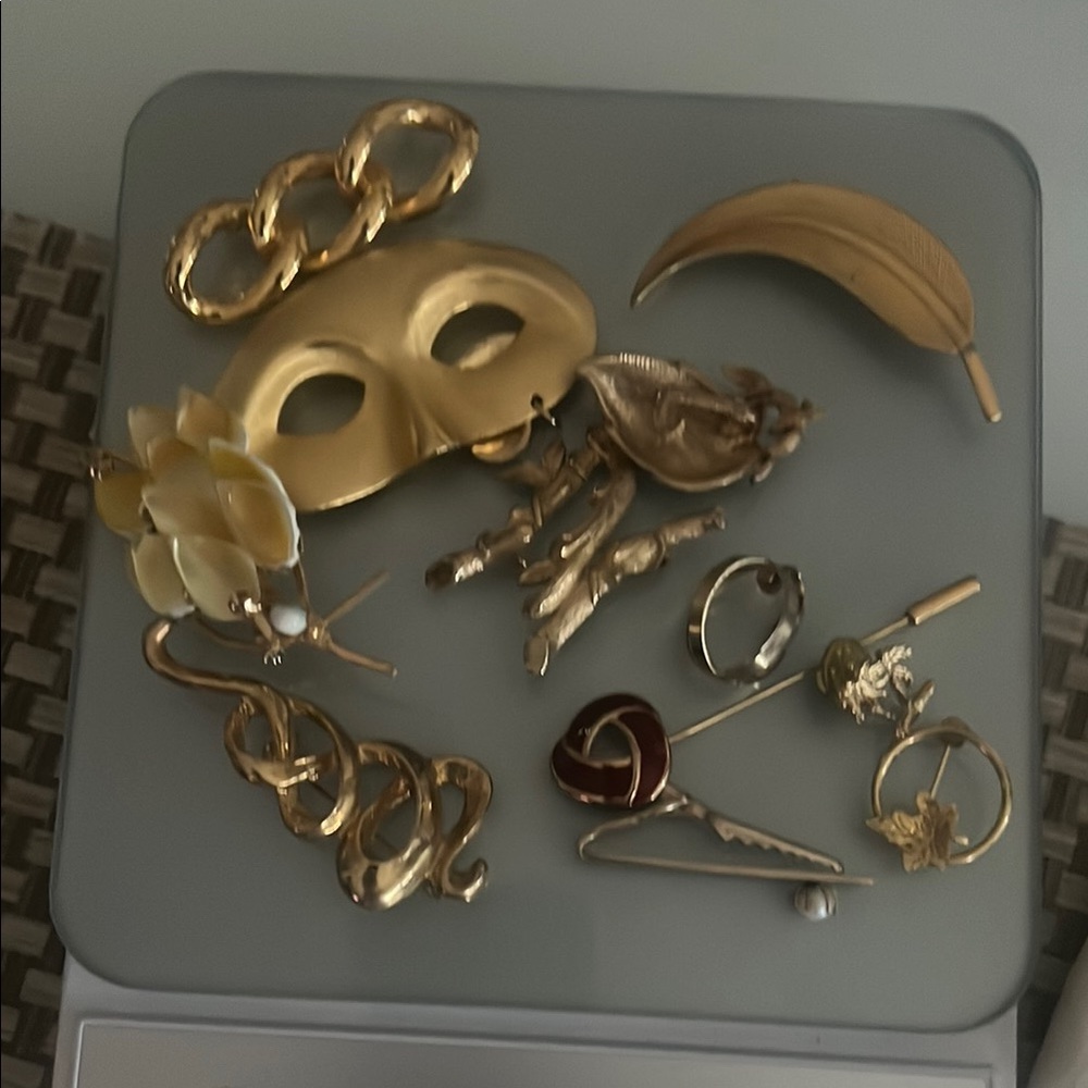 Vintage Elegant brooch Set